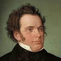 Portrait of Franz Schubert